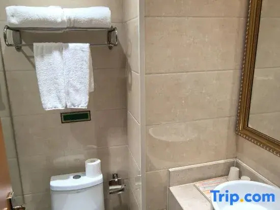 Vienna Hotel - Chambres