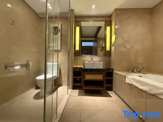 Номер Deluxe в Jinghai Hotel & Resort