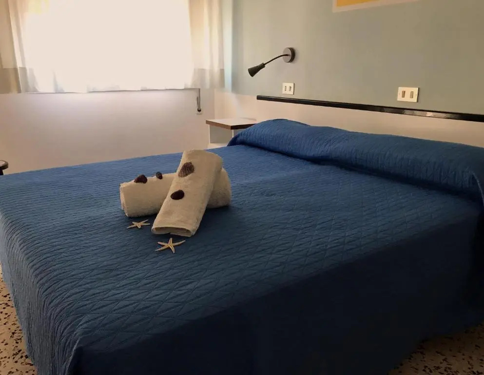 Standard Double room with balcony (full double bed)