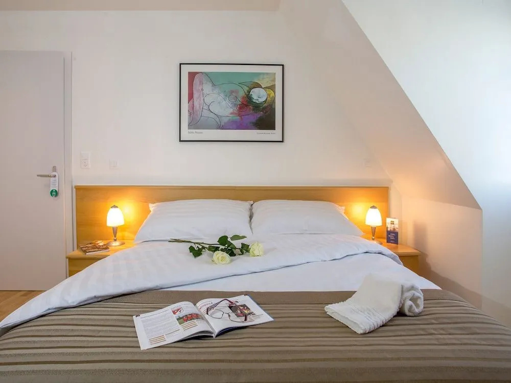 Hôtel du Cheval Blanc - City Center - Général