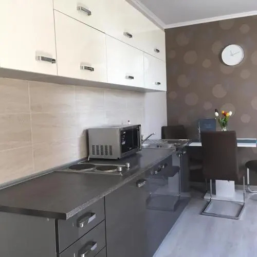 Hotel Forras - фото 10