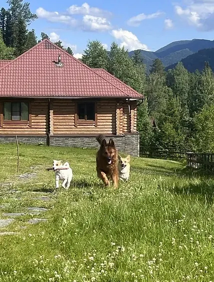 Cottage