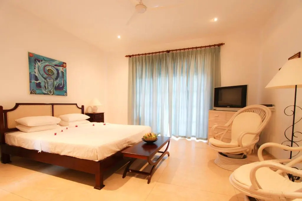 Deluxe Double room (full double bed)