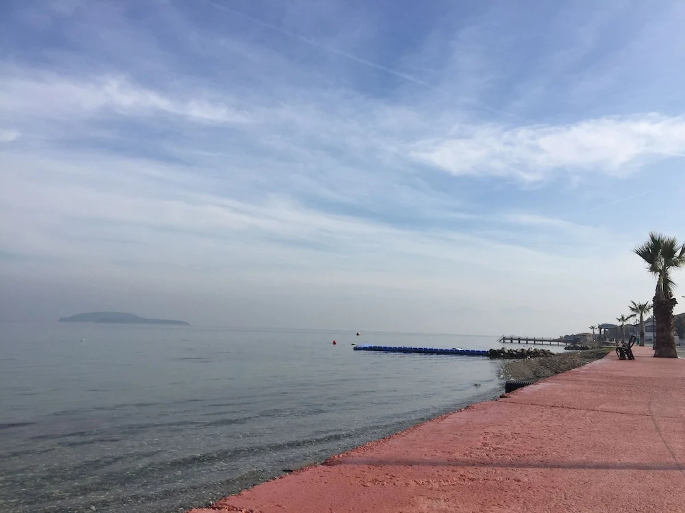 Beach & Waterfront