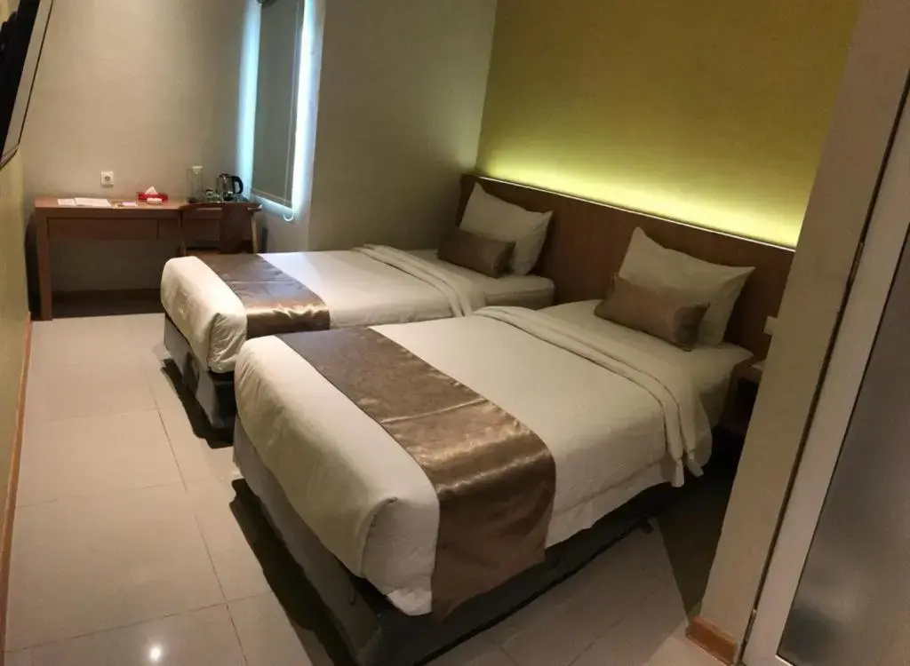 Deluxe Double room (twin beds)