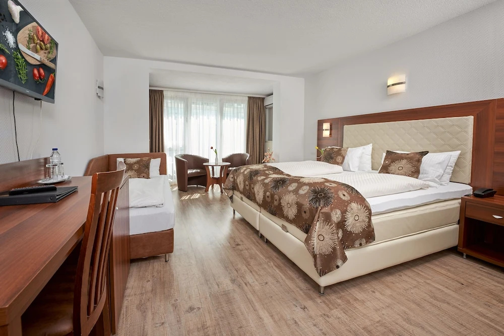 Hotel Meyerhof Lörrach - Général