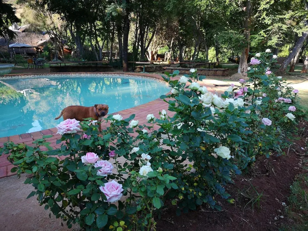Hornbill Lodge - Général