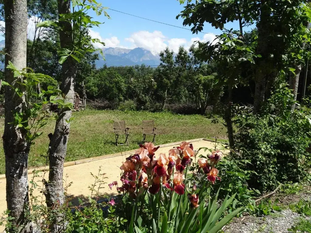 Maison d'hôtes l'Arnica - Général