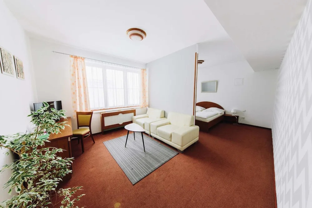 Wellness hotel Vyhlídka - Général