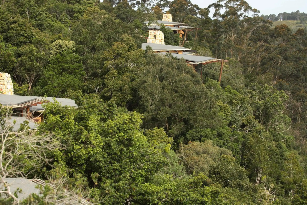 Tsala Treetop Lodge - фото 37
