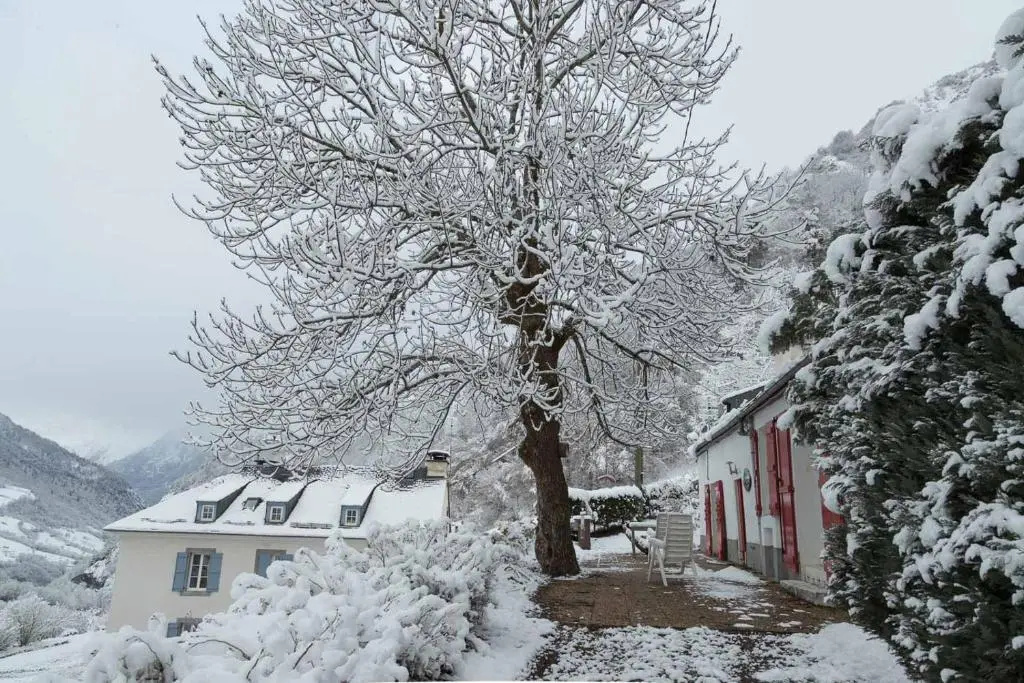 Comfortable farm house Petit Barzun, in the Parc National Pyrenees