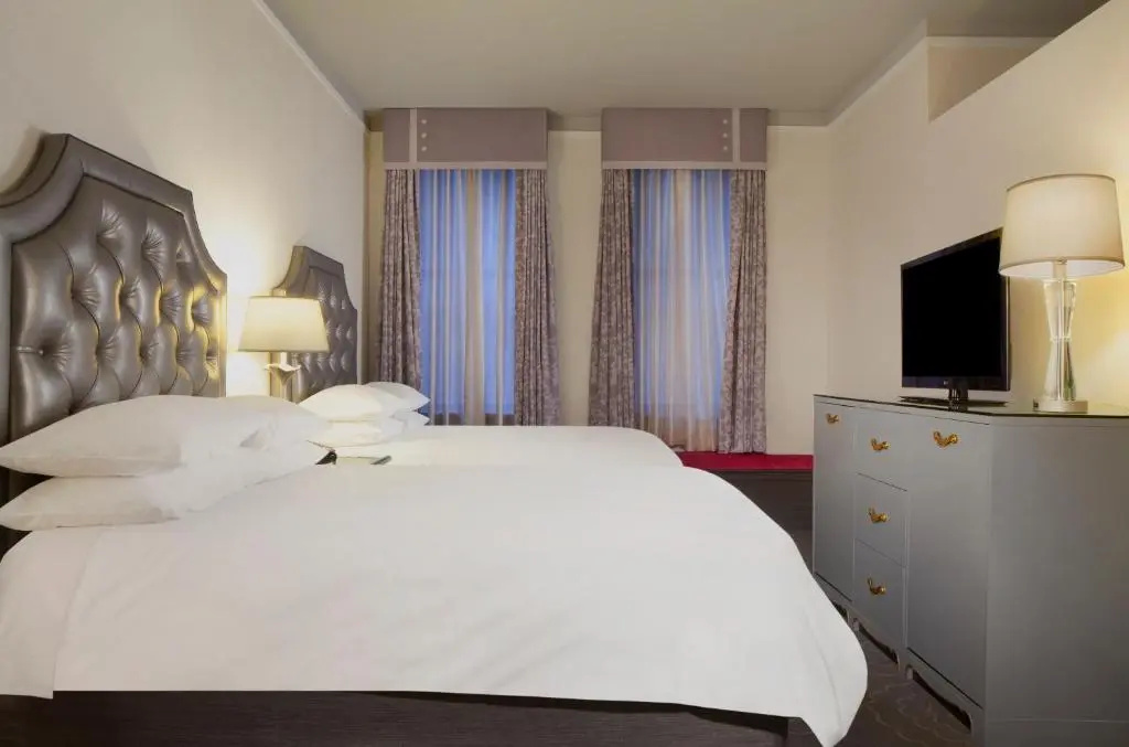 Deluxe Double room (twin beds)