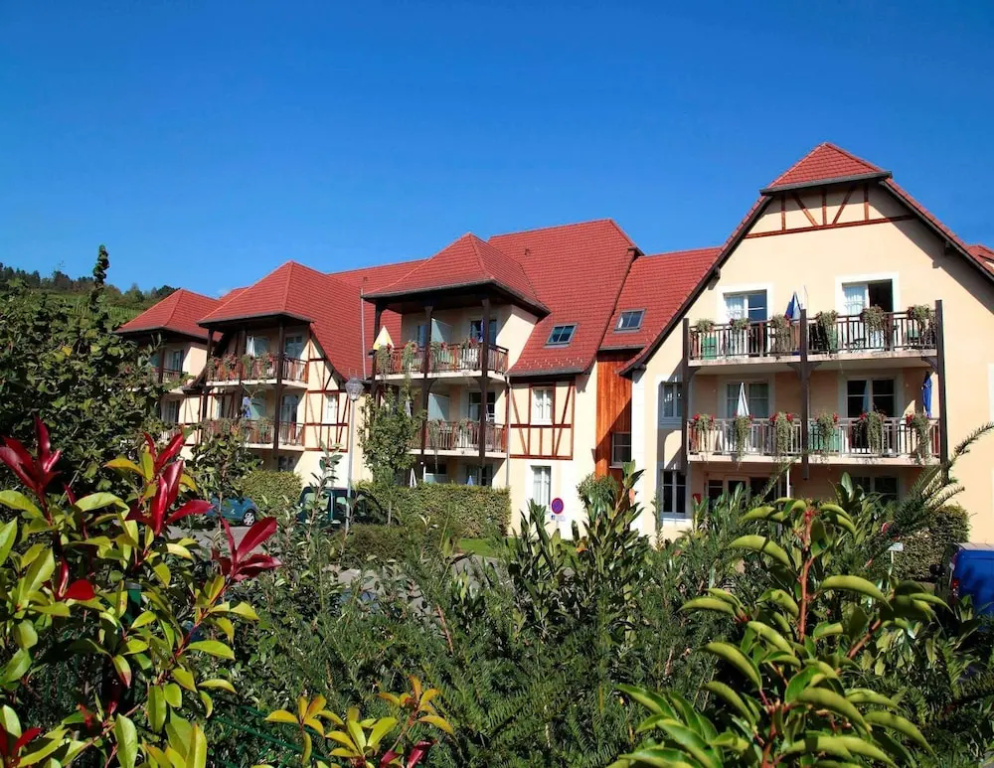 Apartment in Bergheim Near Alsace Vineyards