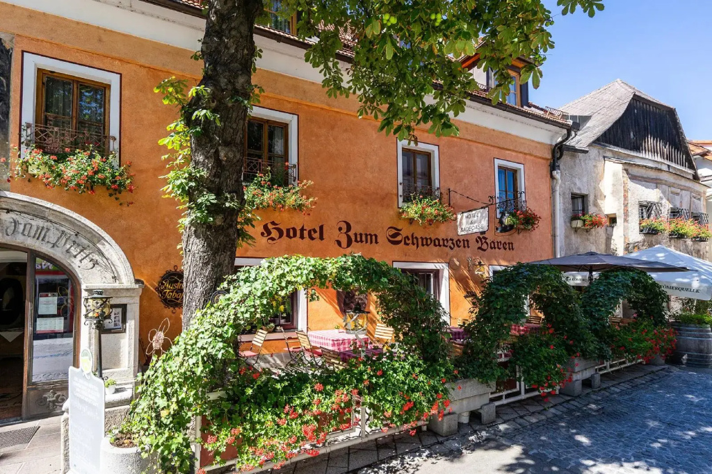 Hotel-Restaurant Zum Schwarzen Bären - Général