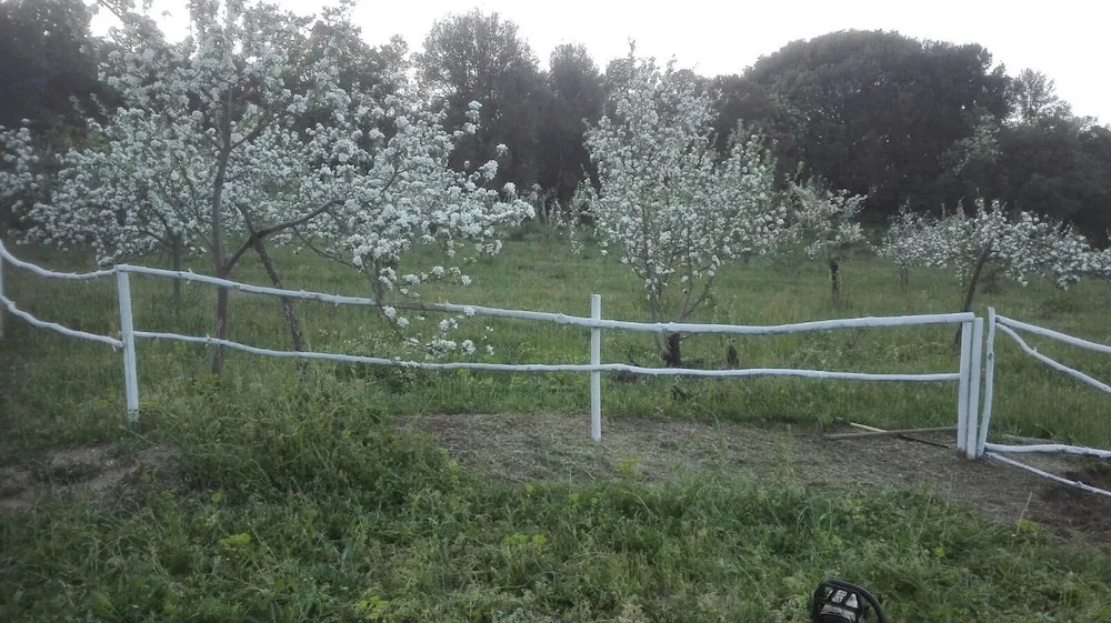 Affittacamere Paradiso