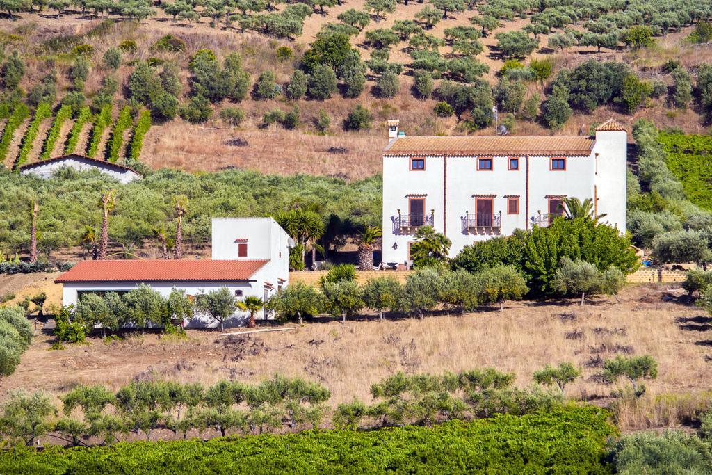 Agriturismo Tenute Piazza image