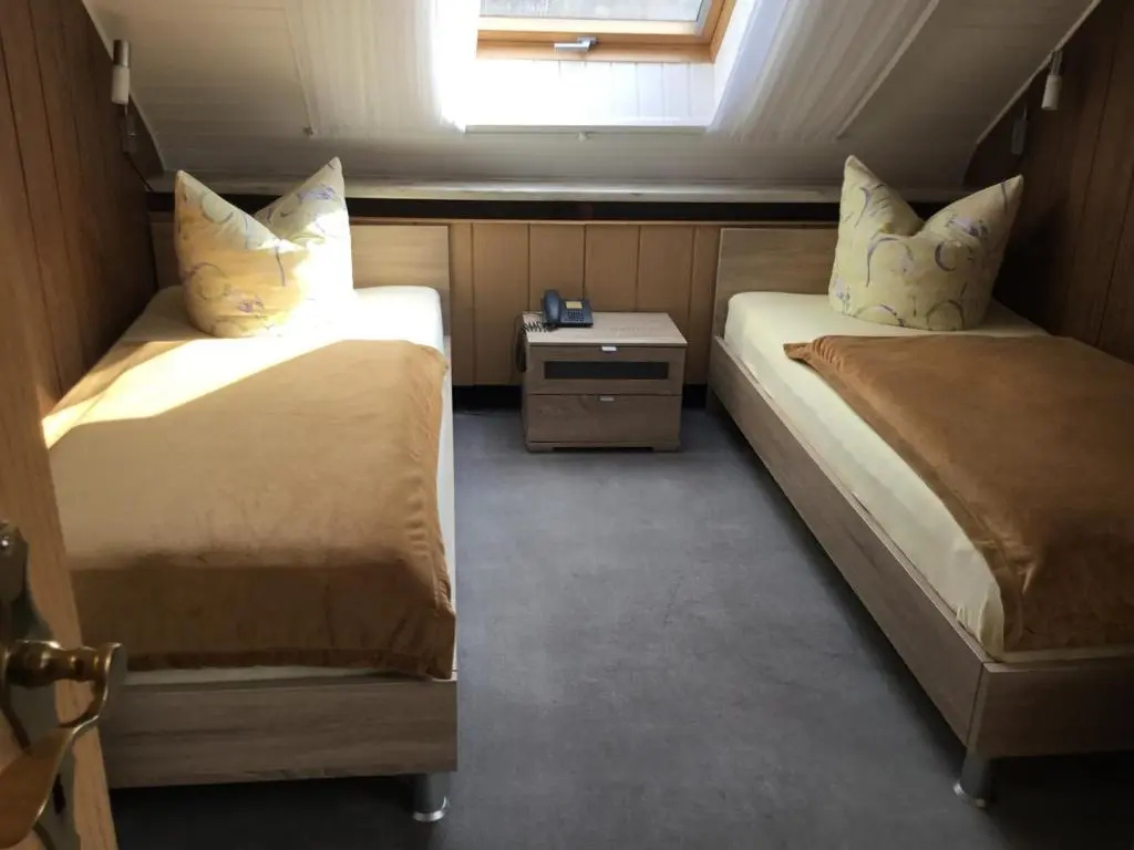 Standard Double room (twin beds)