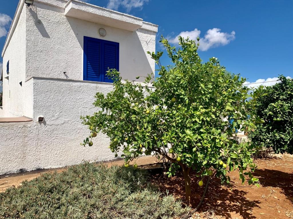 AL PEPE NERO - Casa in campagna a soli 5 minuti dal mare