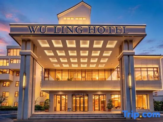 Wuling Hotel (Liuzhou High-speed Railway Station)