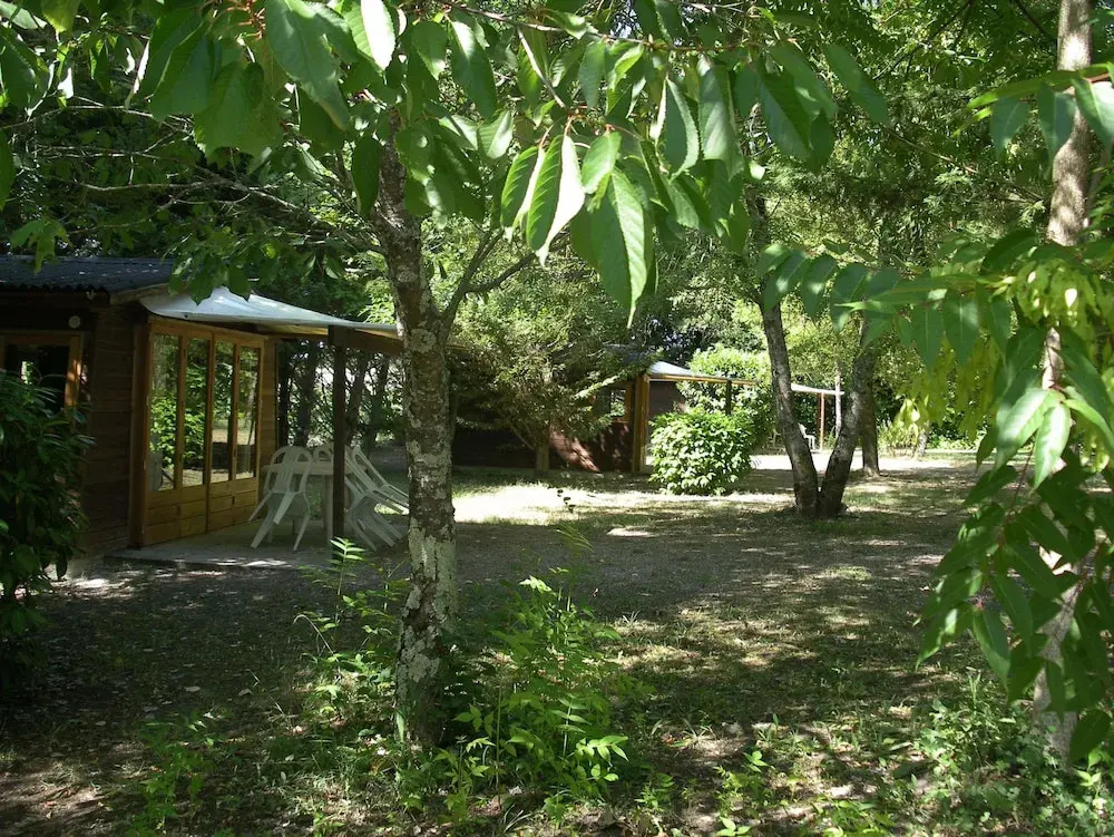 Camping Le Petit Lion - Tente Safari
