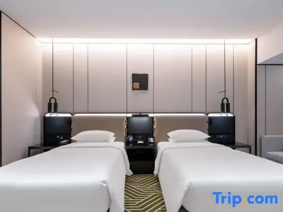 Standard Double room with city view (twin beds)
