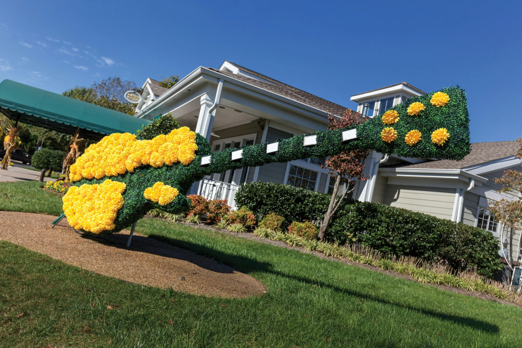 Club Wyndham Nashville - Général