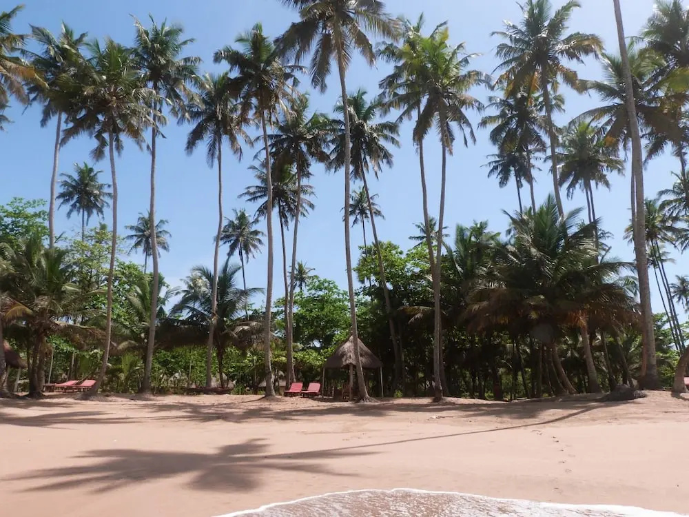 Beach & Waterfront