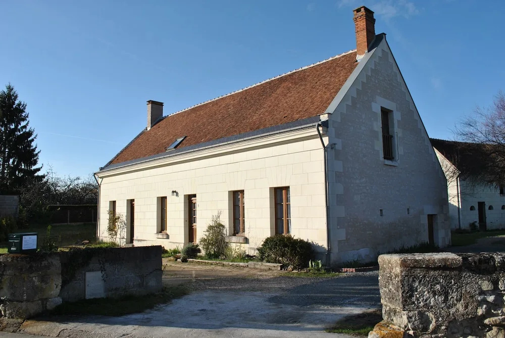 Le Tulipier de Virginie
