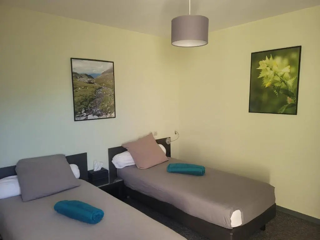 Standard Double room with mountain view (twin beds)