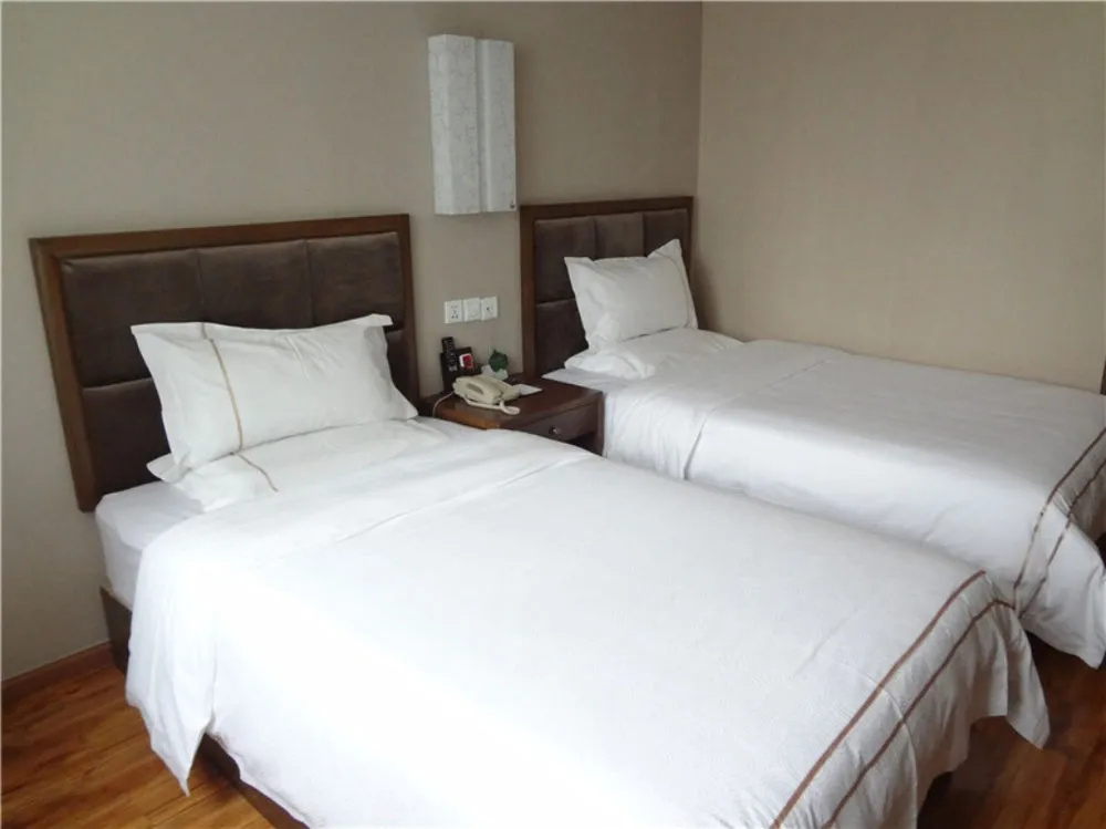 Phoenix Regalia Hotel (Chengdu Taisheng) - Général