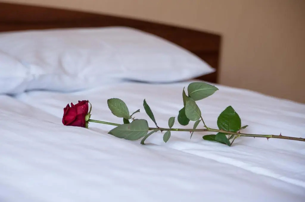 Hotel Hetmanski - Chambres