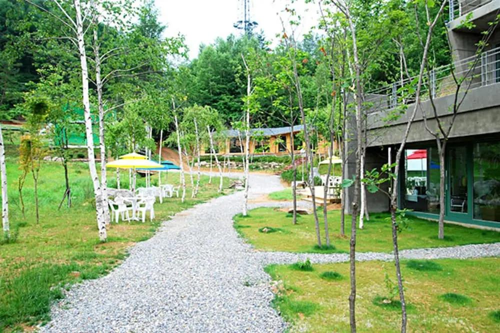 Pyeongchang The Sky Forest