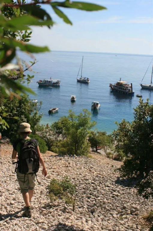 Hotel Zlatni Lav - Général