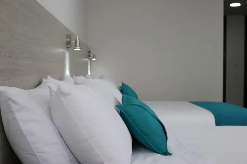 Deluxe Double room (twin beds)