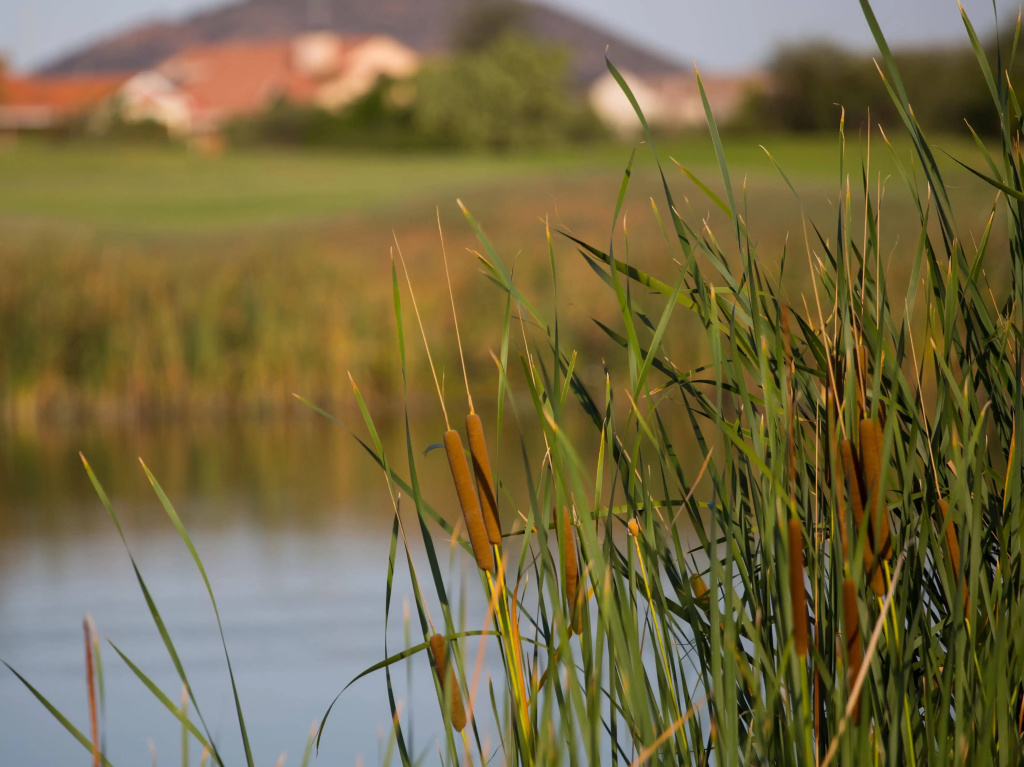 Phakalane Golf Estate Hotel Resort - Général