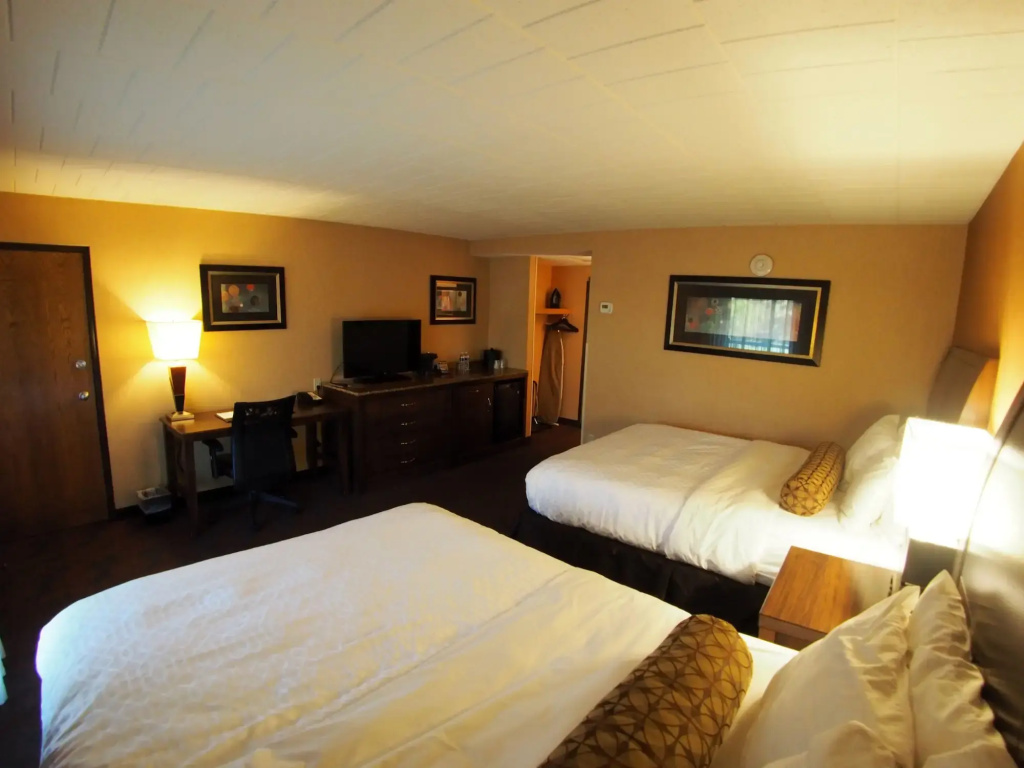 Evergreen Resort - Général
