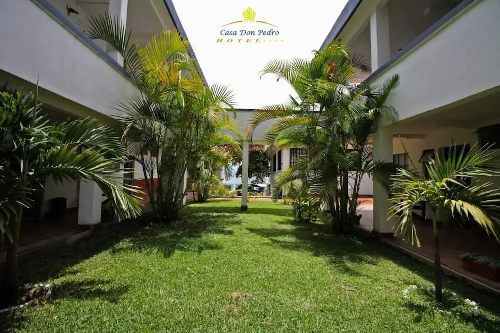 Hotel Casa Don Pedro - фото 11