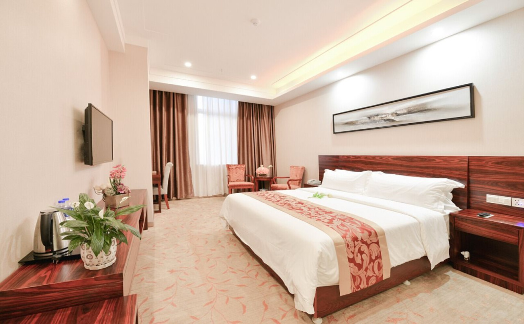 Vienna Classic Hotel Guangzhou Yanling Road - Général