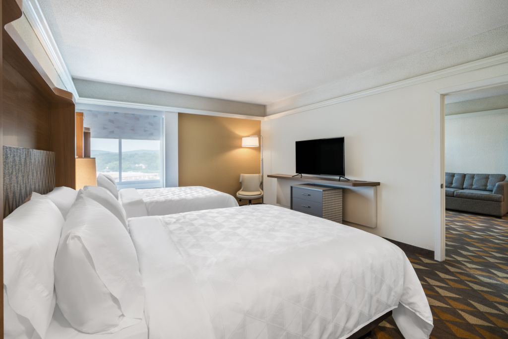 Holiday Inn & Suites Pittsfield-Berkshires by IHG - Général