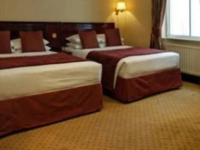 Rochester Hotel by Blue Orchid - Chambres