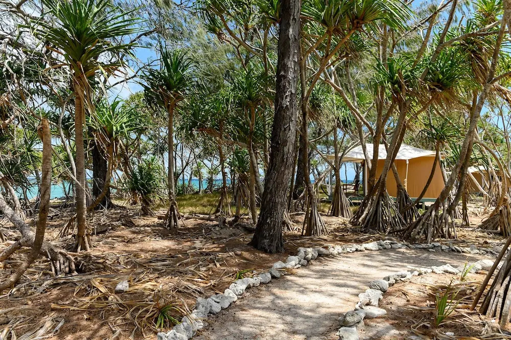 Wilson Island