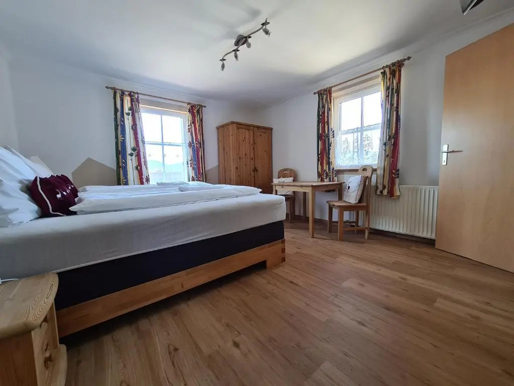 Standard Double room with mountain view (full double bed)