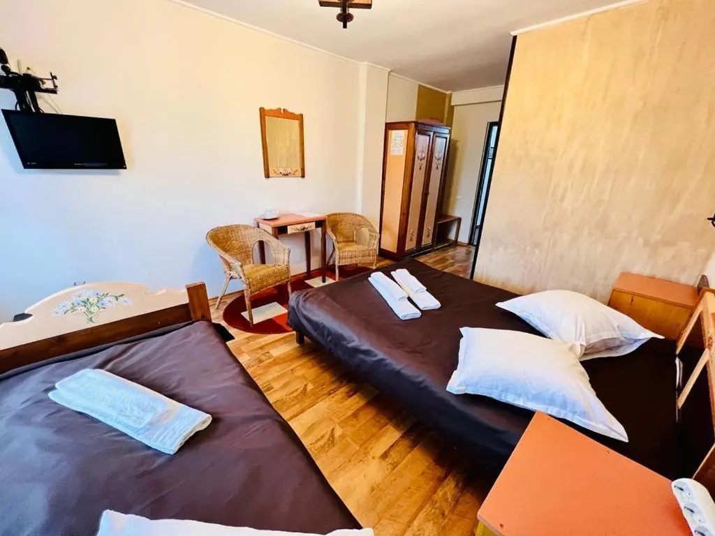 Pensiunea Casa Boiereasca - Chambres