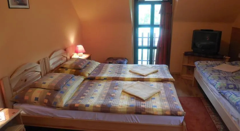 Hegyi Panzió - фото 3