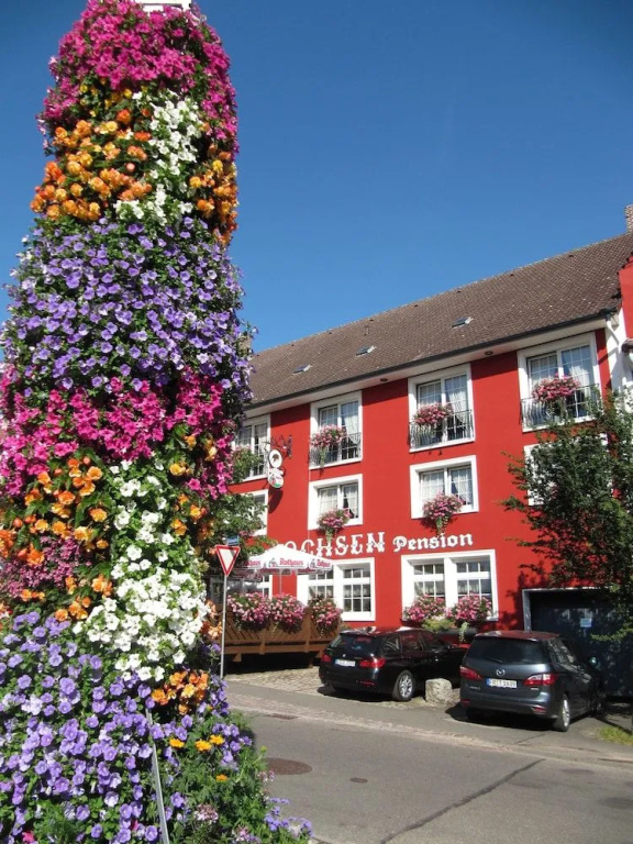 Landhotel zum Ochsen - Général