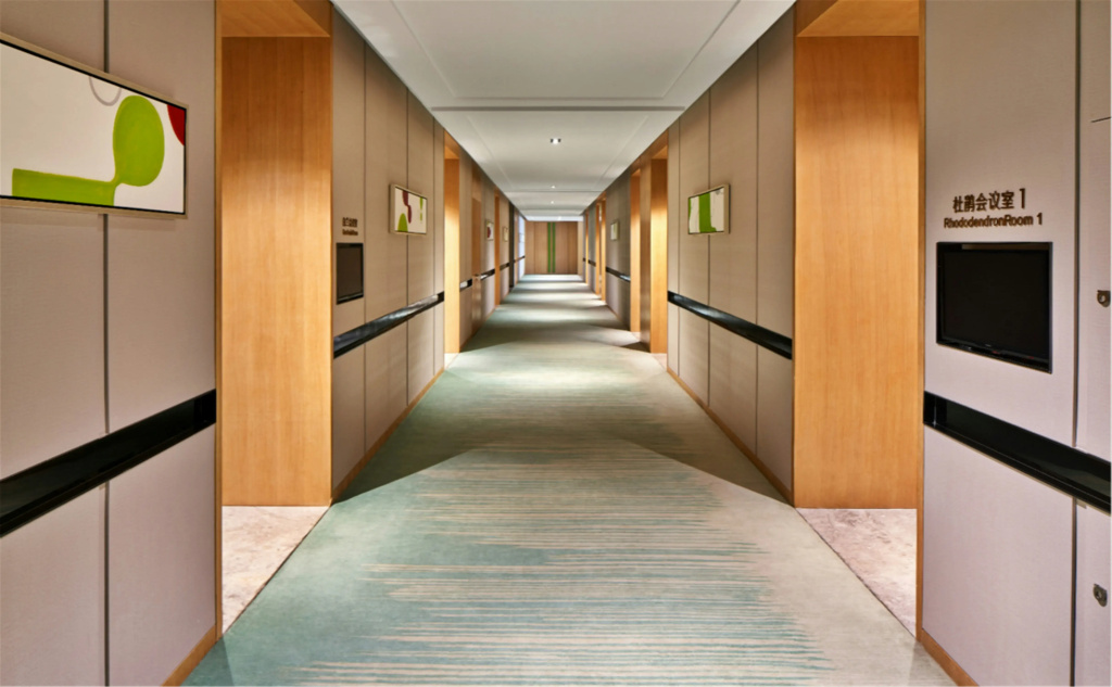 Hilton Garden Inn Foshan - Général