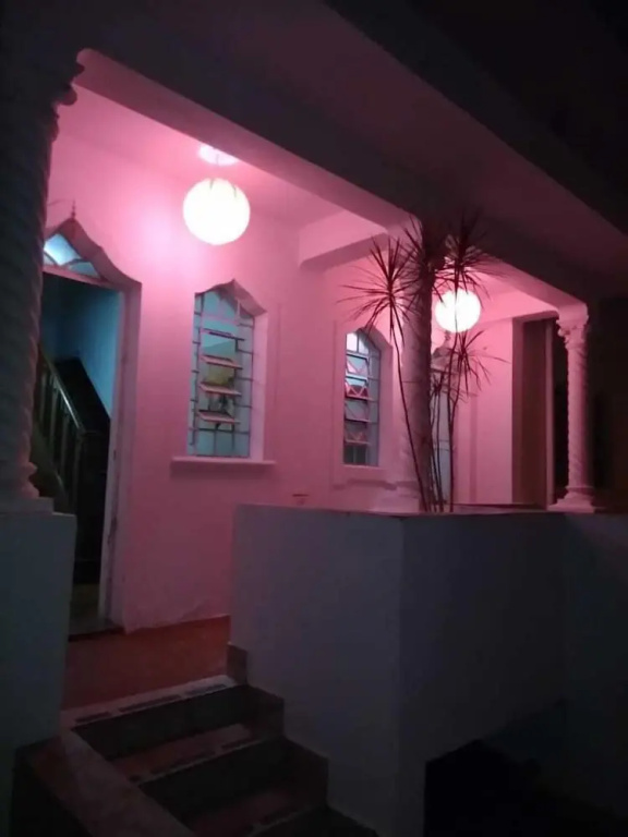Yellow House Hostel Internacional