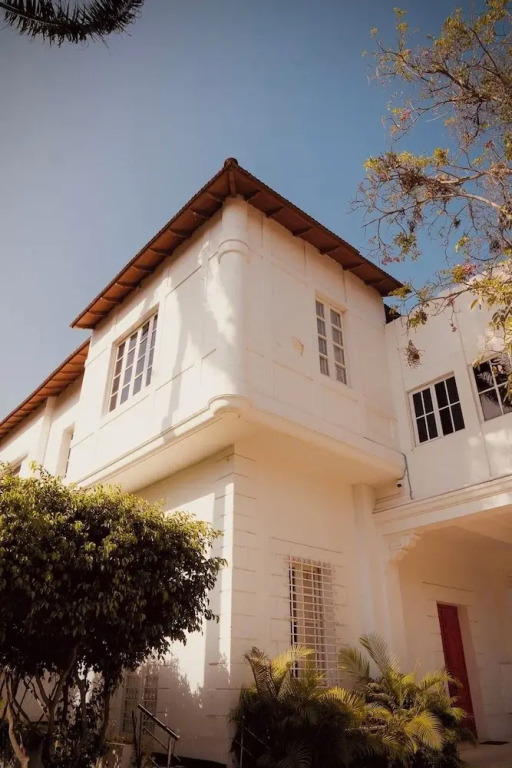 Hush Hush — фото