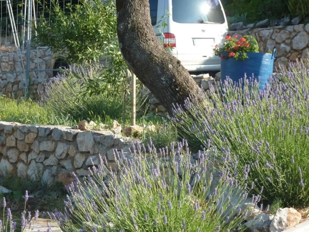 Rural Villas Crikvenica - Général