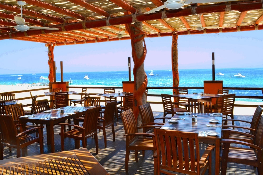 Beach & Waterfront